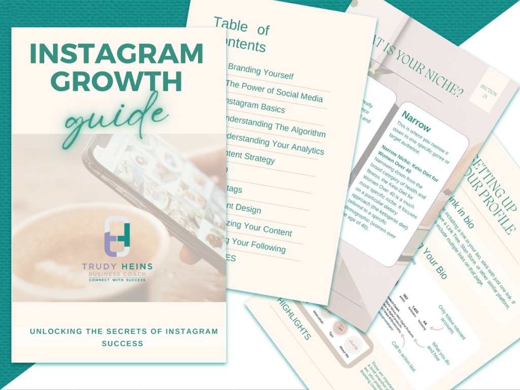 Instagram Growth Guide | Trudy Heins | Business and Money Coach